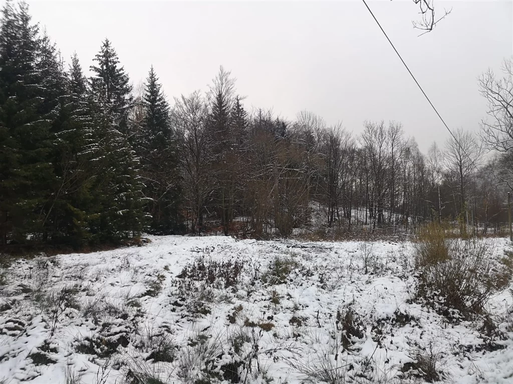 Działka 1 772,00 m², oferta nr , 441/14328/OGS, Jarkowice