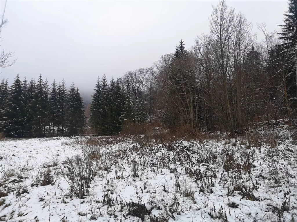 Działka 1 772,00 m², oferta nr , 441/14328/OGS, Jarkowice