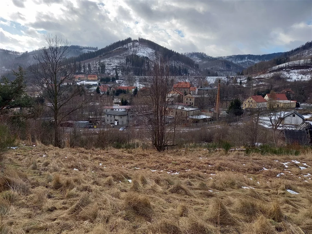Działka 4 700,00 m², oferta nr , 271/14328/OGS, Jedlina-Zdrój