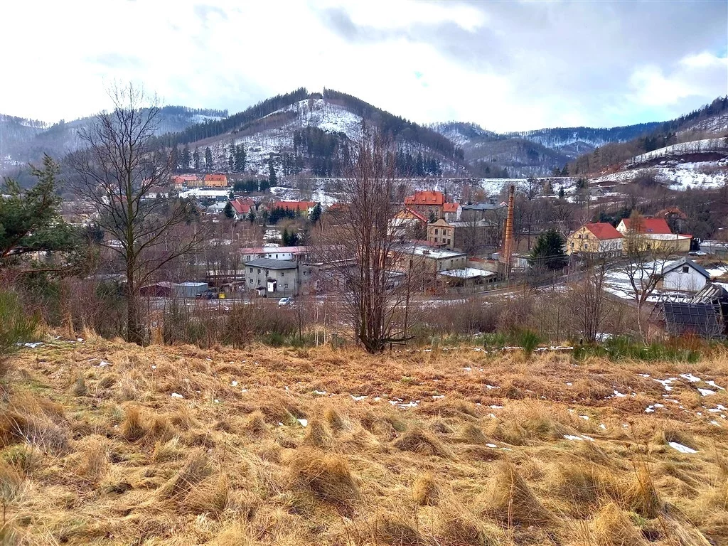 Działka 3 800,00 m², oferta nr , 272/14328/OGS, Jedlina-Zdrój