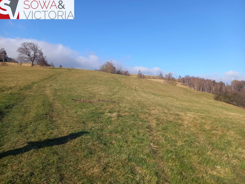 Działka 21 151,00 m², oferta nr , 696/14328/OGS, Jedlina-Zdrój