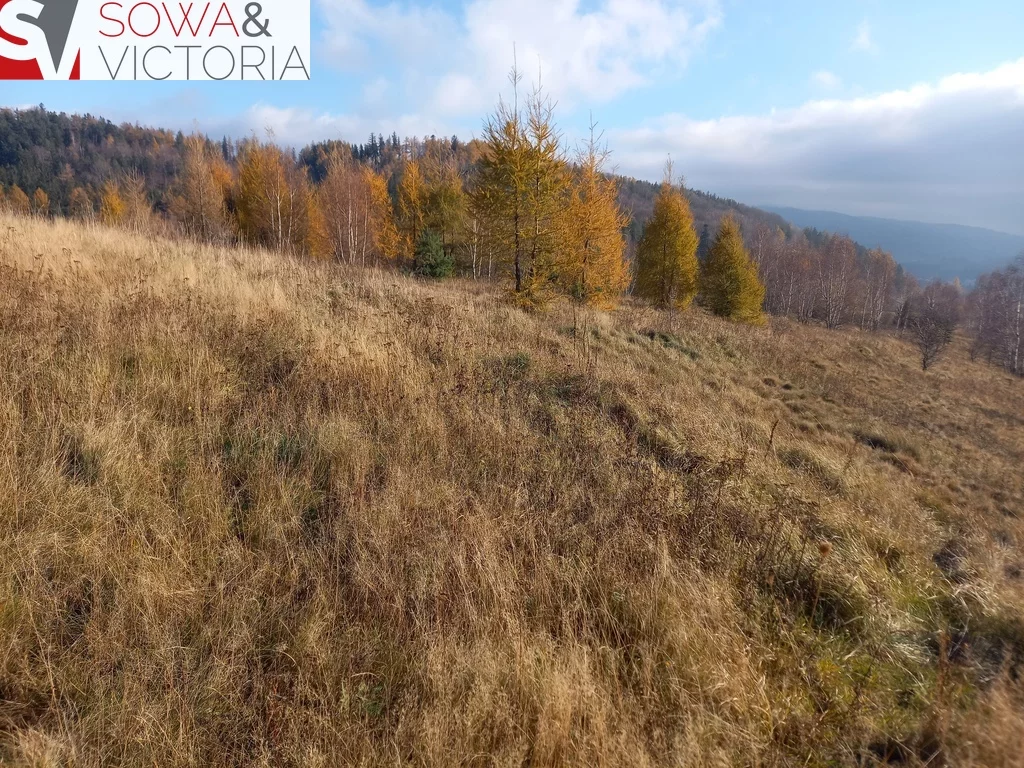 Działka 21 151,00 m², oferta nr , 696/14328/OGS, Jedlina-Zdrój