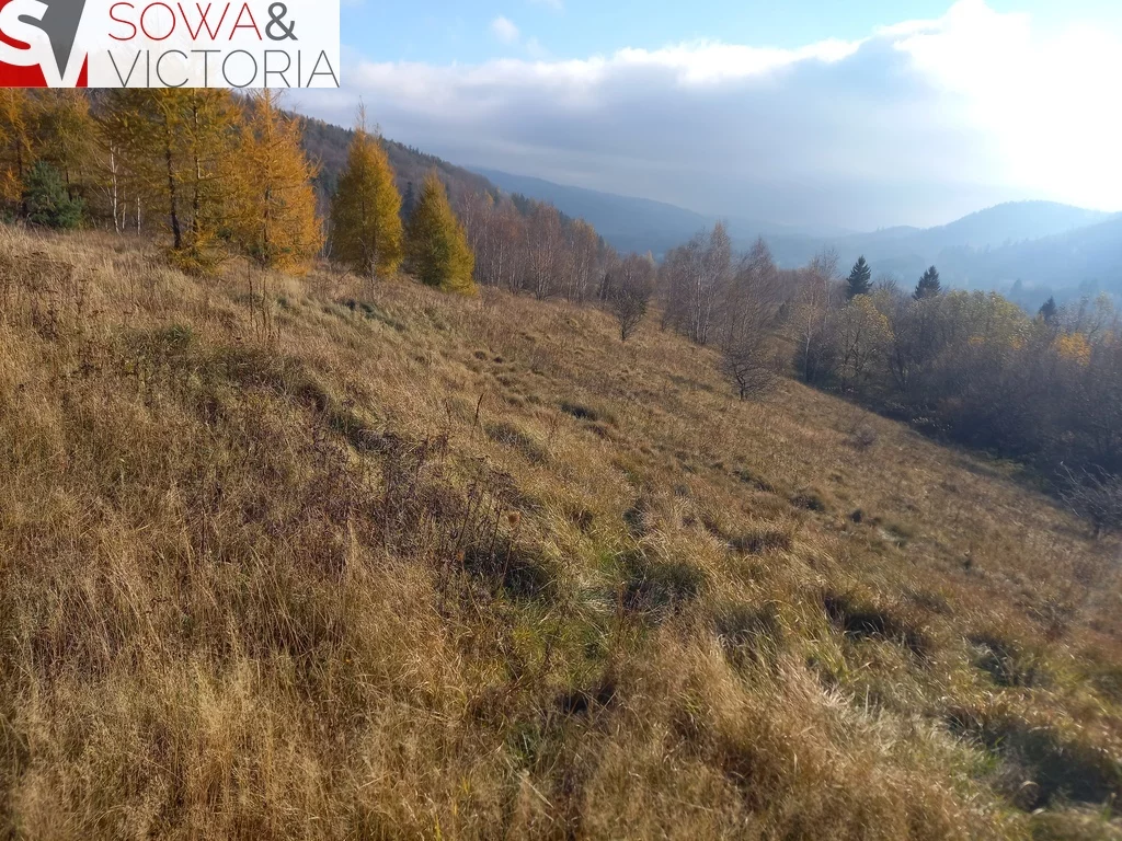 Działka 21 151,00 m², oferta nr , 696/14328/OGS, Jedlina-Zdrój
