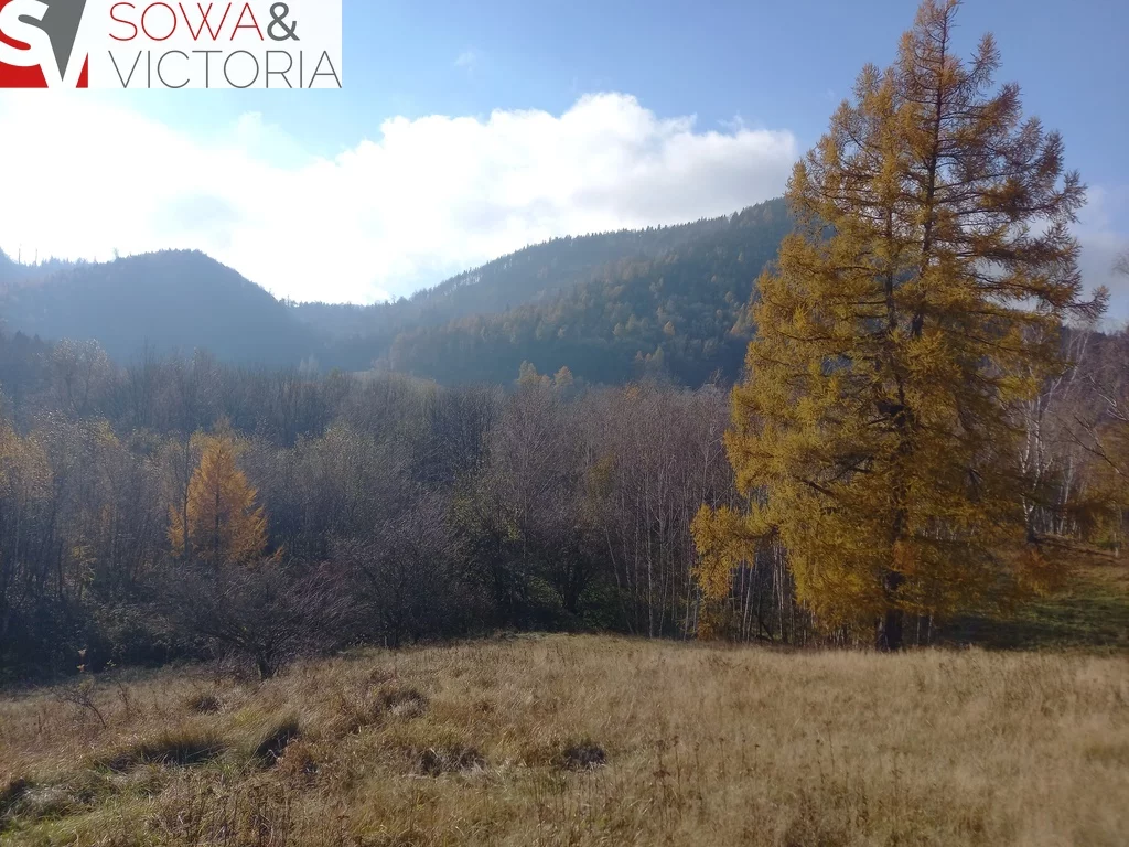 Działka 21 151,00 m², oferta nr , 696/14328/OGS, Jedlina-Zdrój