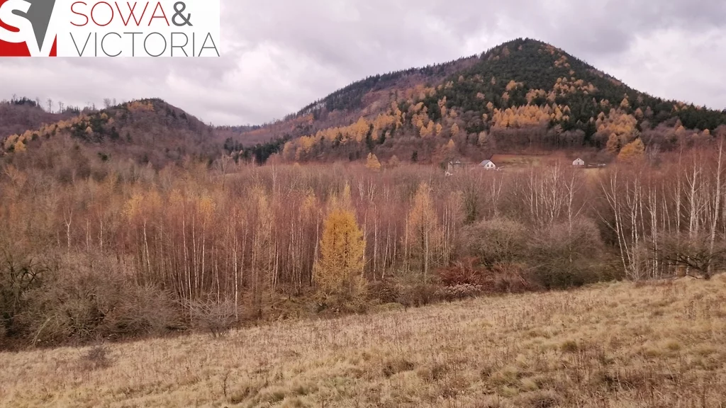 Działka 21 151,00 m², oferta nr , 696/14328/OGS, Jedlina-Zdrój
