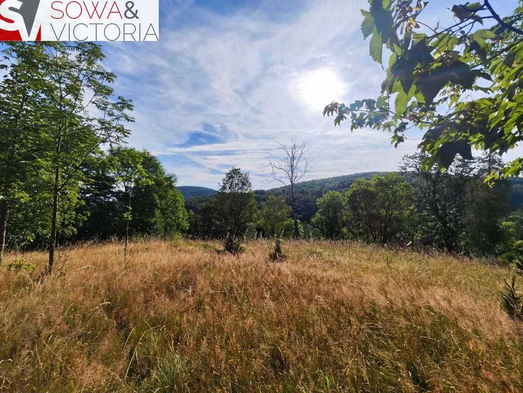 Działka 1 980,00 m², oferta nr , 675/14328/OGS, Jelenia Góra, Jagniątków