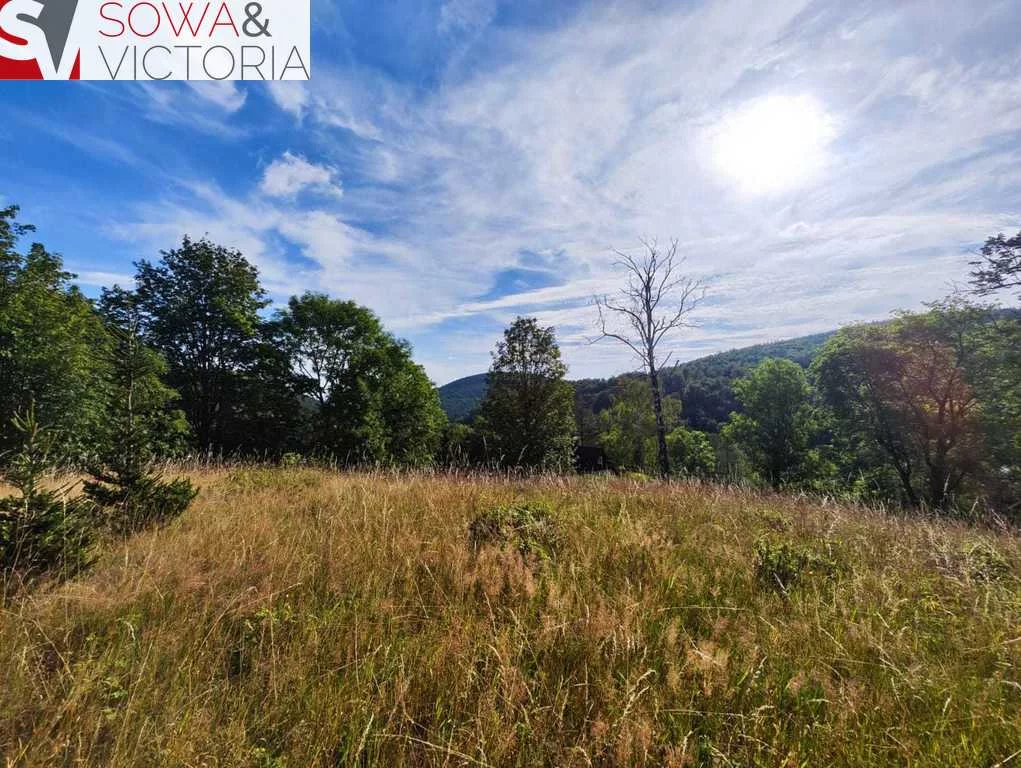 Działka 1 980,00 m², oferta nr , 675/14328/OGS, Jelenia Góra, Jagniątków