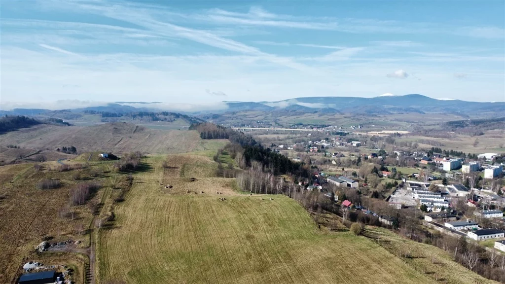 Działka 1 593,00 m², oferta nr , 529/14328/OGS, Kamienna Góra
