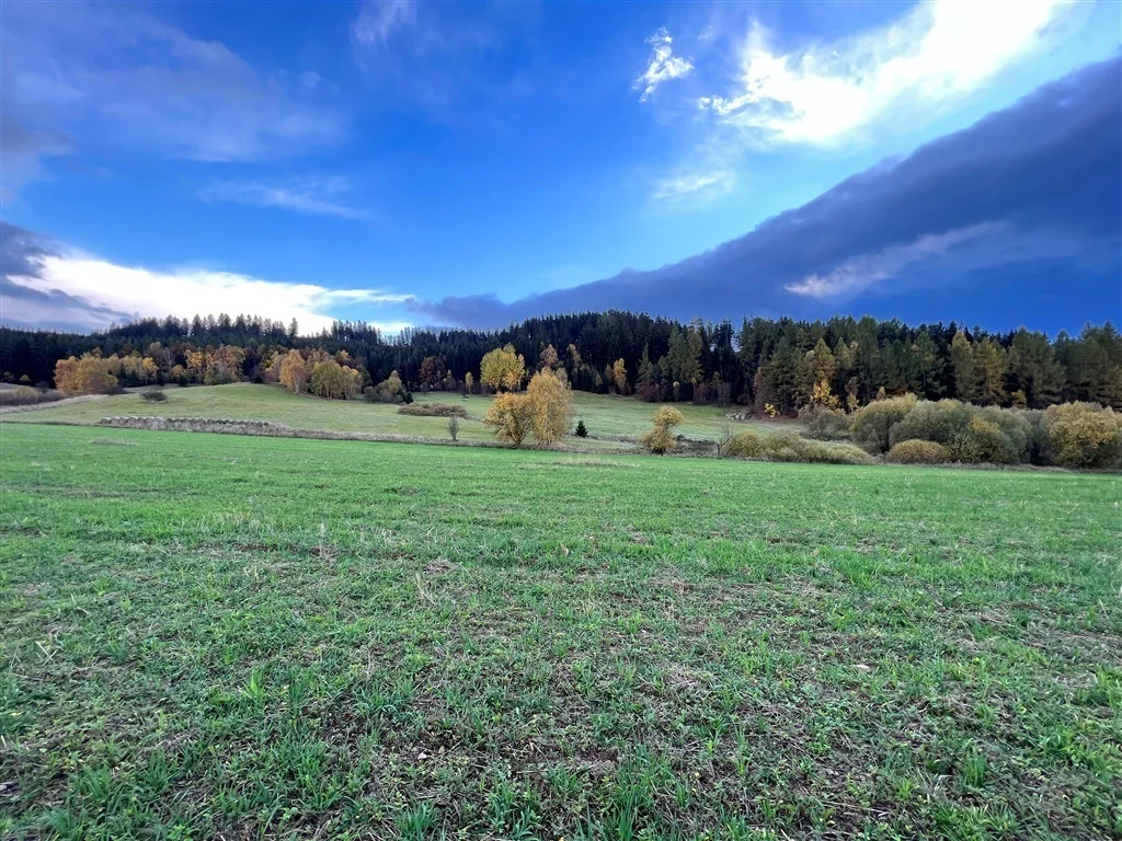 Działka 1 388,00 m², oferta nr , 418/14328/OGS, Krzeszów