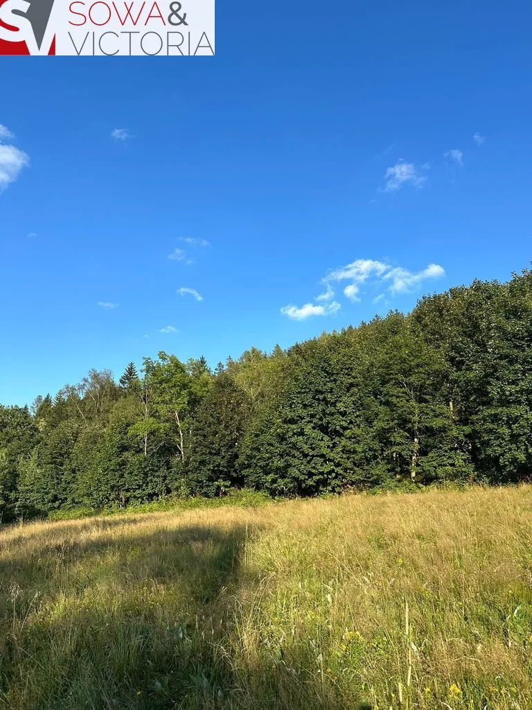 Działka 1 505,00 m², oferta nr , 678/14328/OGS, Leszczyniec