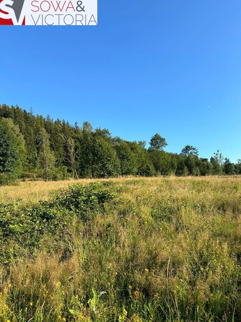 Działka 1 505,00 m², oferta nr , 678/14328/OGS, Leszczyniec