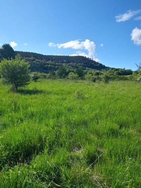 Działka 2 710,00 m², oferta nr , 329/14328/OGS, Łomnica