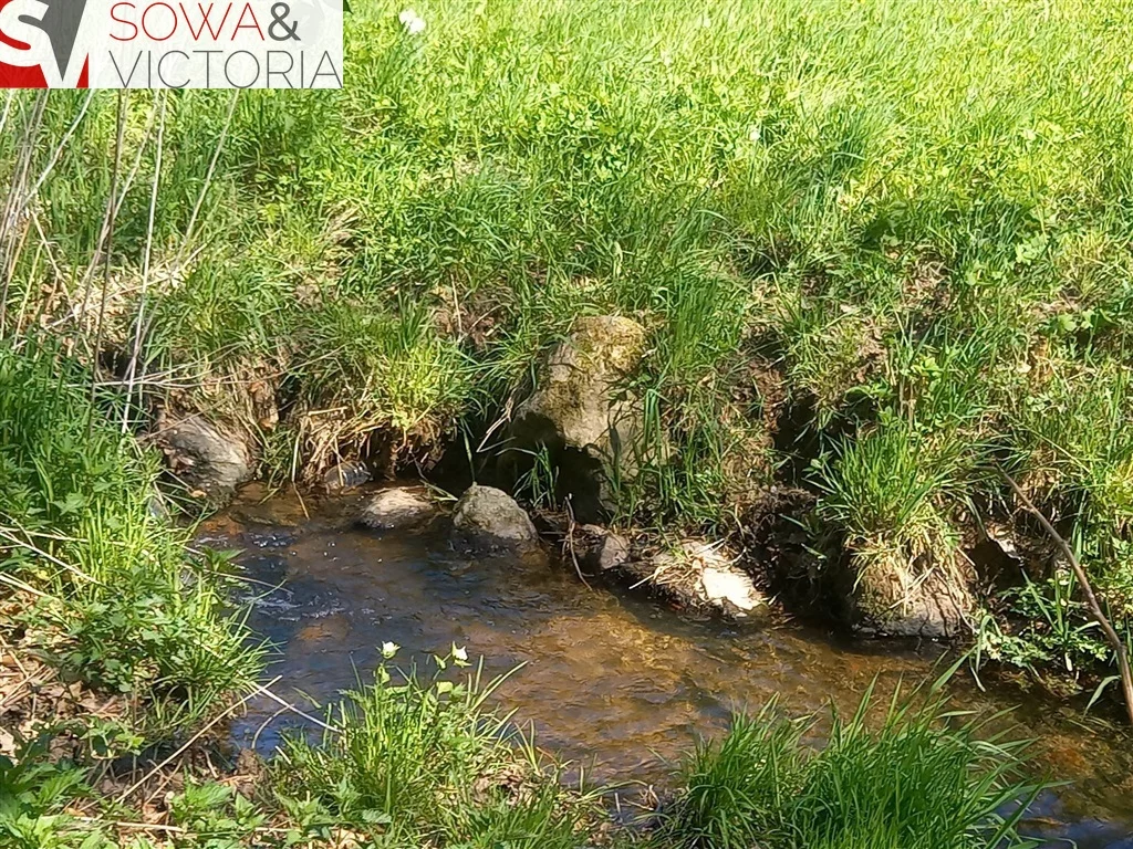 Działka 8 428,00 m², oferta nr , 200/14328/OGS, Michałkowa
