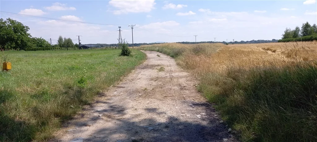 Działka 2 000,00 m², oferta nr , 242/14328/OGS, Międzyrzecze