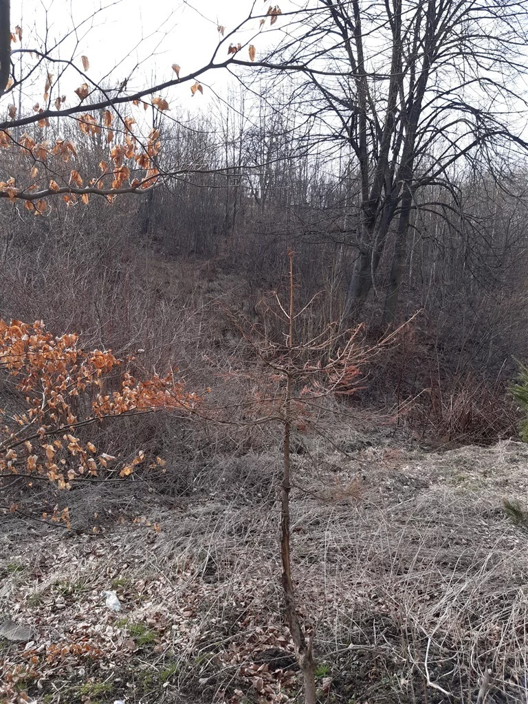 Działka 4 335,00 m², oferta nr , 131/14328/OGS, Niedźwiedzica