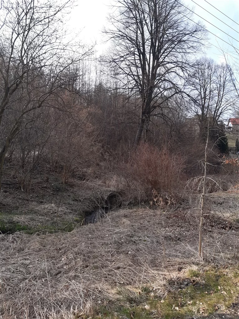 Działka 4 335,00 m², oferta nr , 131/14328/OGS, Niedźwiedzica