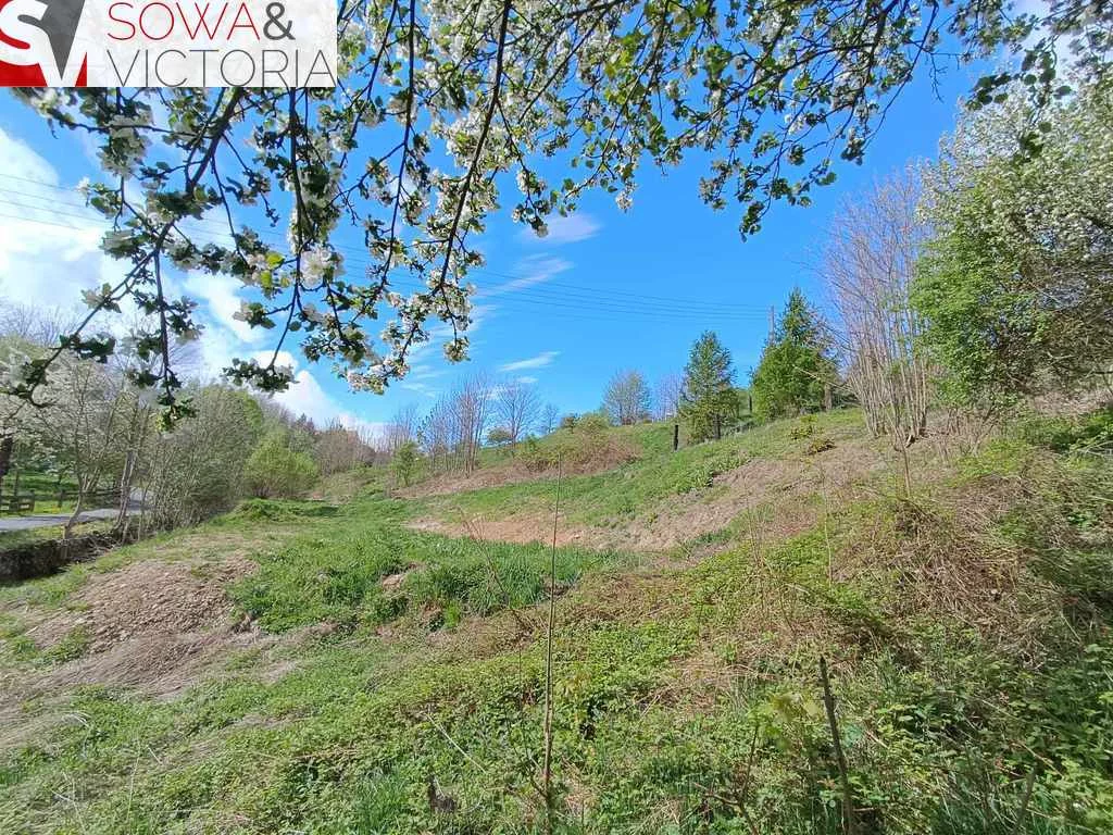 Działka 7 600,00 m², oferta nr , 642/14328/OGS, Niedźwiedzica
