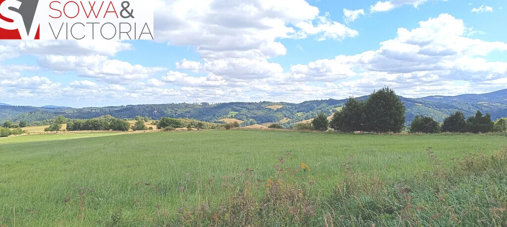 Apartamenty 781/14328/OGS Niedźwiedzica