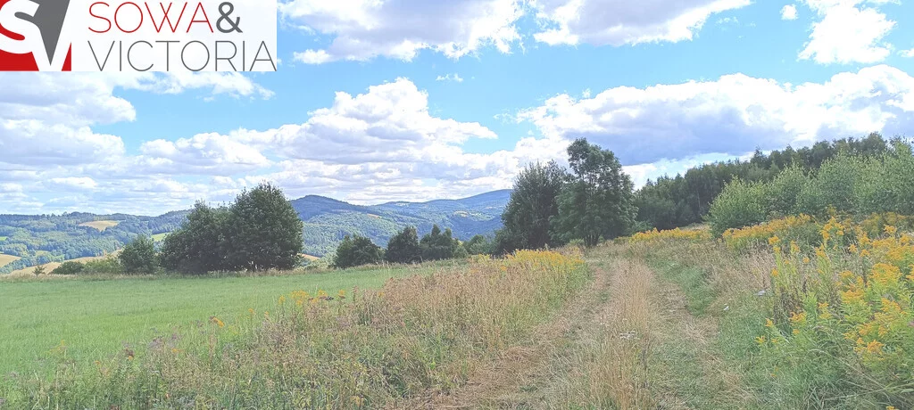Działka 3 000,00 m², oferta nr , 781/14328/OGS, Niedźwiedzica