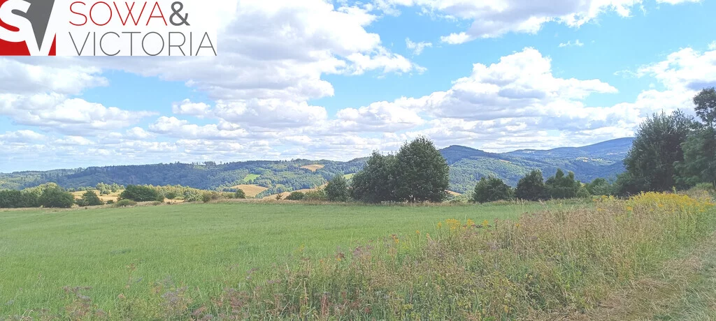 Działka 3 000,00 m², oferta nr , 781/14328/OGS, Niedźwiedzica