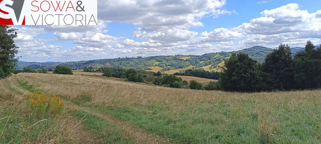 Działka 3 000,00 m², oferta nr , 781/14328/OGS, Niedźwiedzica