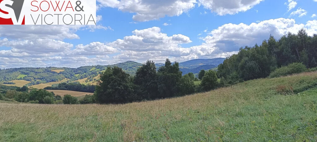 Działka 3 000,00 m², oferta nr , 781/14328/OGS, Niedźwiedzica