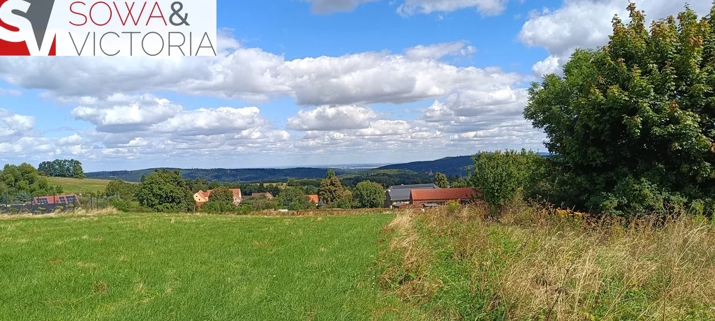 Działka 3 000,00 m², oferta nr , 781/14328/OGS, Niedźwiedzica