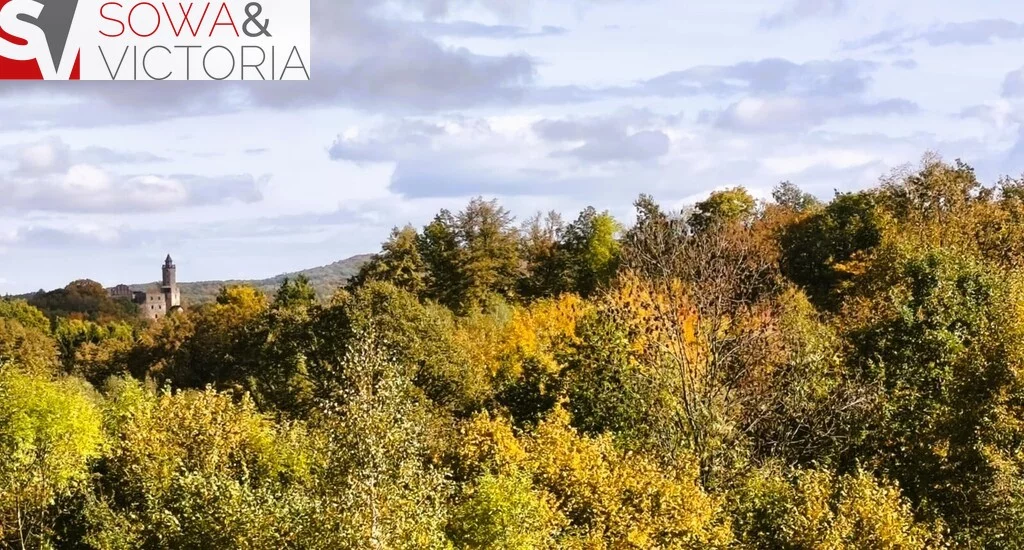 Działka 2 408,00 m², oferta nr , 788/14328/OGS, Niedźwiedzica