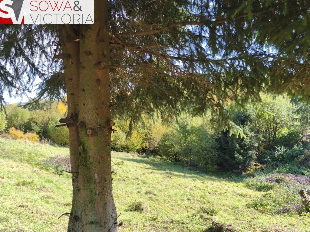 Działka 2 408,00 m², oferta nr , 788/14328/OGS, Niedźwiedzica