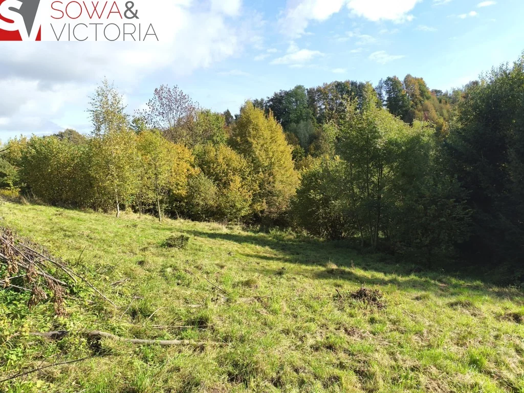 Działka 2 408,00 m², oferta nr , 788/14328/OGS, Niedźwiedzica