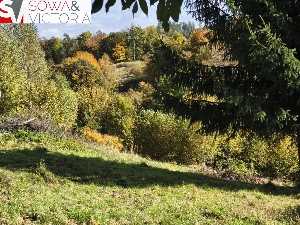 Działka 2 408,00 m², oferta nr , 788/14328/OGS, Niedźwiedzica