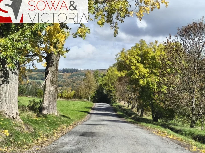 Działka 2 408,00 m², oferta nr , 788/14328/OGS, Niedźwiedzica