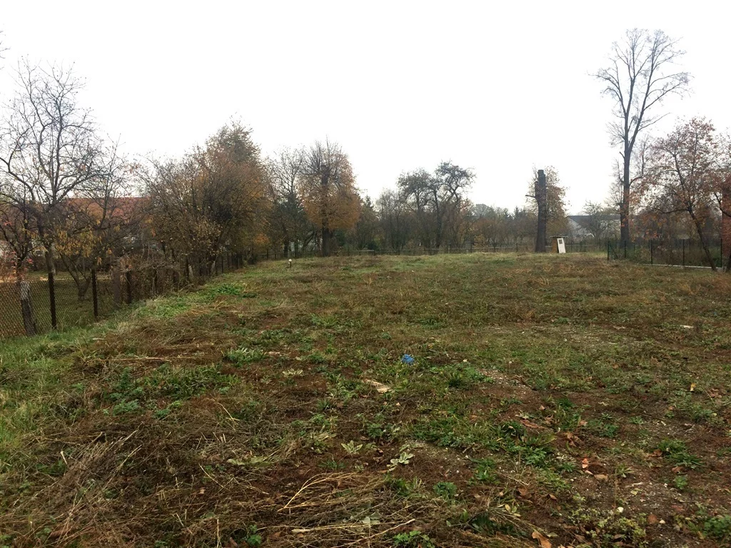 Działka 1 600,00 m², oferta nr , 467/14328/OGS, Olszany