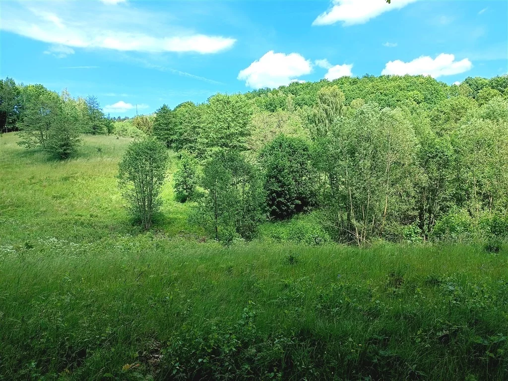 Działka 3 137,00 m², oferta nr , 550/14328/OGS, Olszyniec