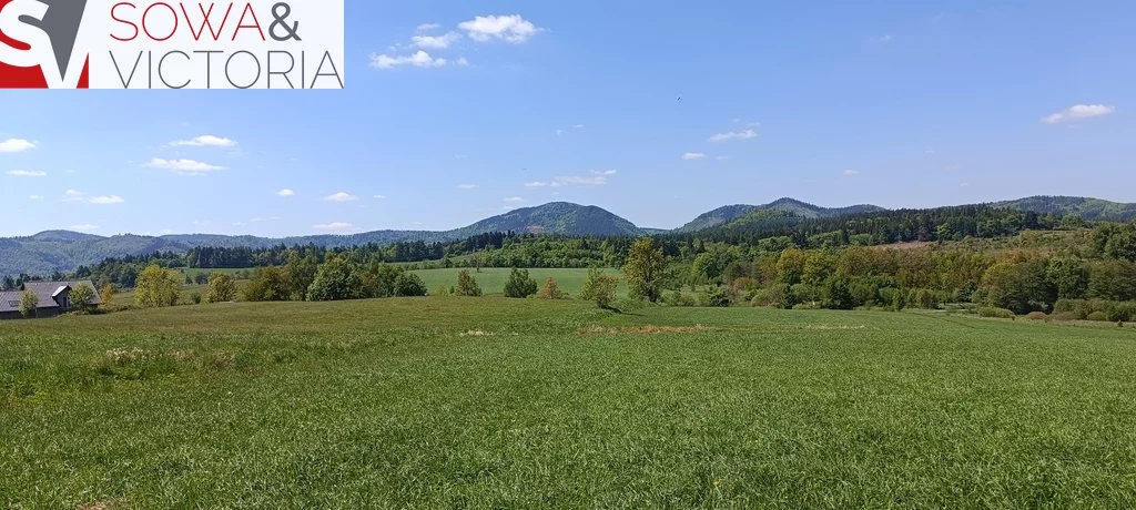 Działka 1 600,00 m², oferta nr , 728/14328/OGS, Olszyniec