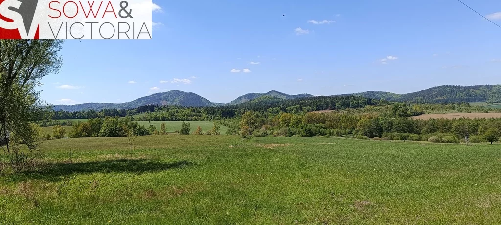 Działka 1 600,00 m², oferta nr , 728/14328/OGS, Olszyniec