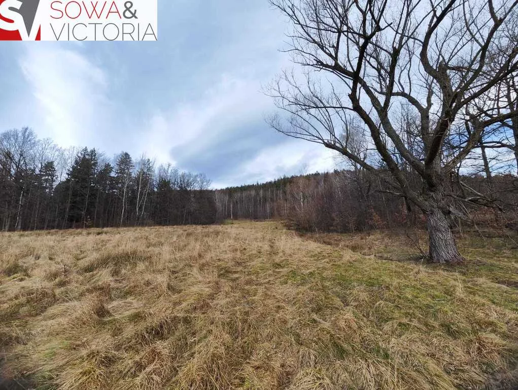 Działka 700,00 m², oferta nr , 712/14328/OGS, Piechowice