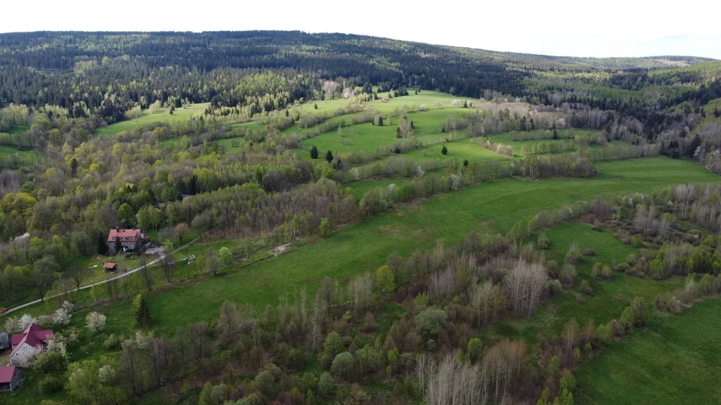 Działka 3 000,00 m², oferta nr , 573/14328/OGS, Przecznica