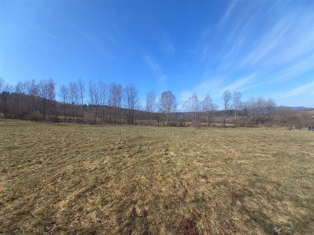 Działka 1 351,00 m², oferta nr , 228/14328/OGS, Sierpnica
