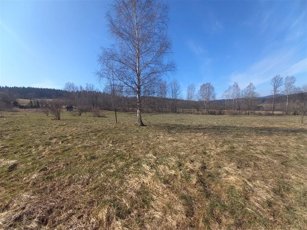 Działka 1 351,00 m², oferta nr , 228/14328/OGS, Sierpnica