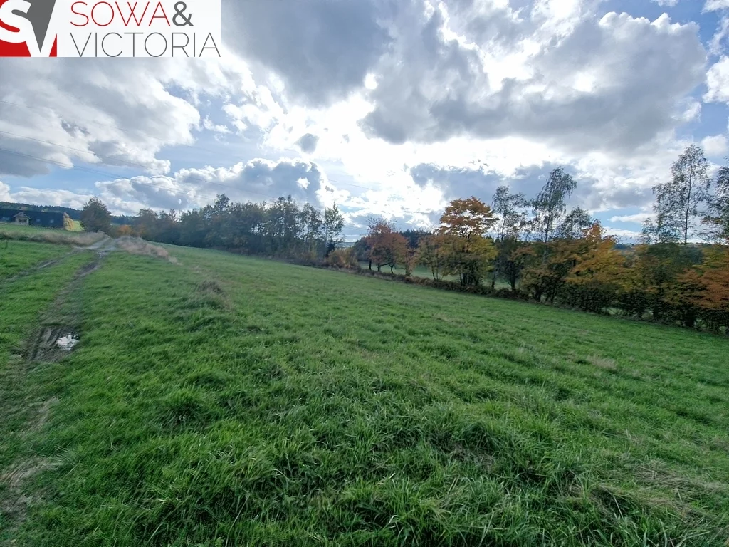 Działka 3 000,00 m², oferta nr , 765/14328/OGS, Sierpnica