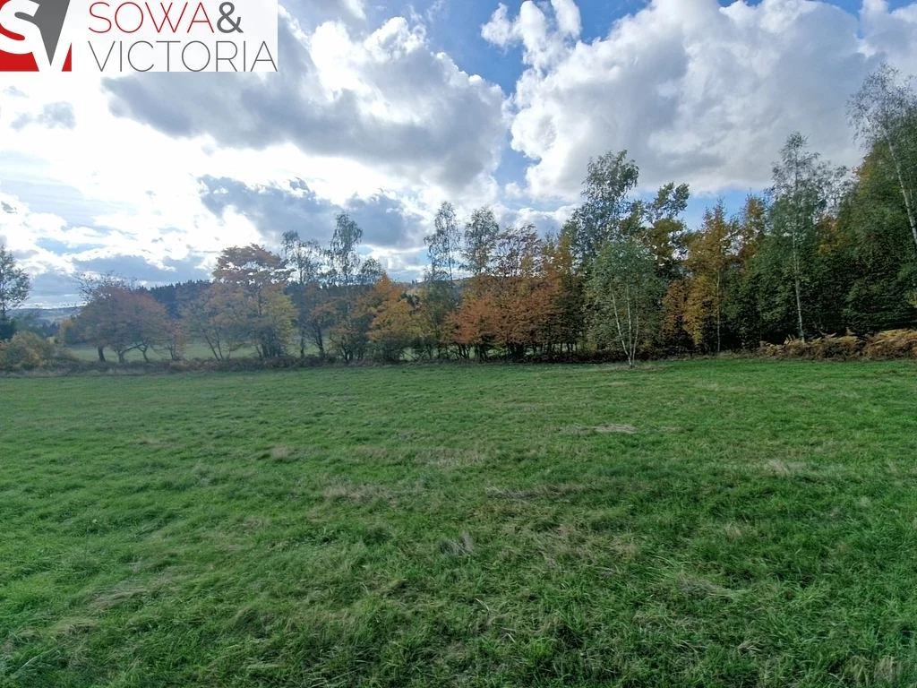 Działka 3 000,00 m², oferta nr , 765/14328/OGS, Sierpnica