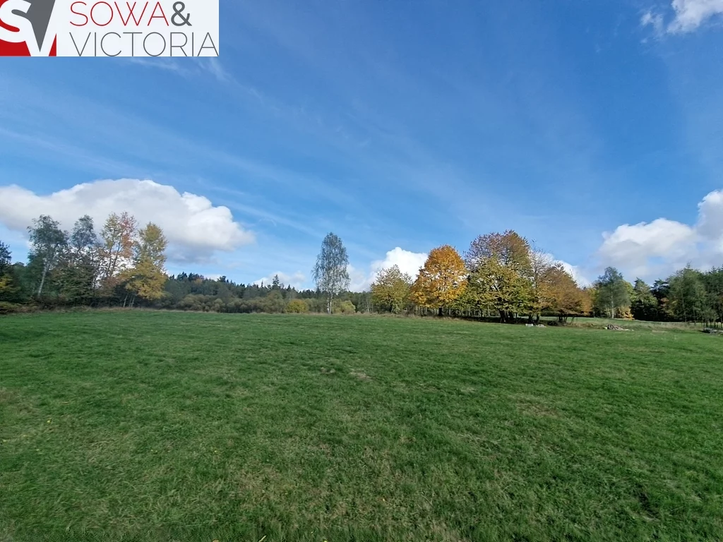 Działka 3 000,00 m², oferta nr , 765/14328/OGS, Sierpnica