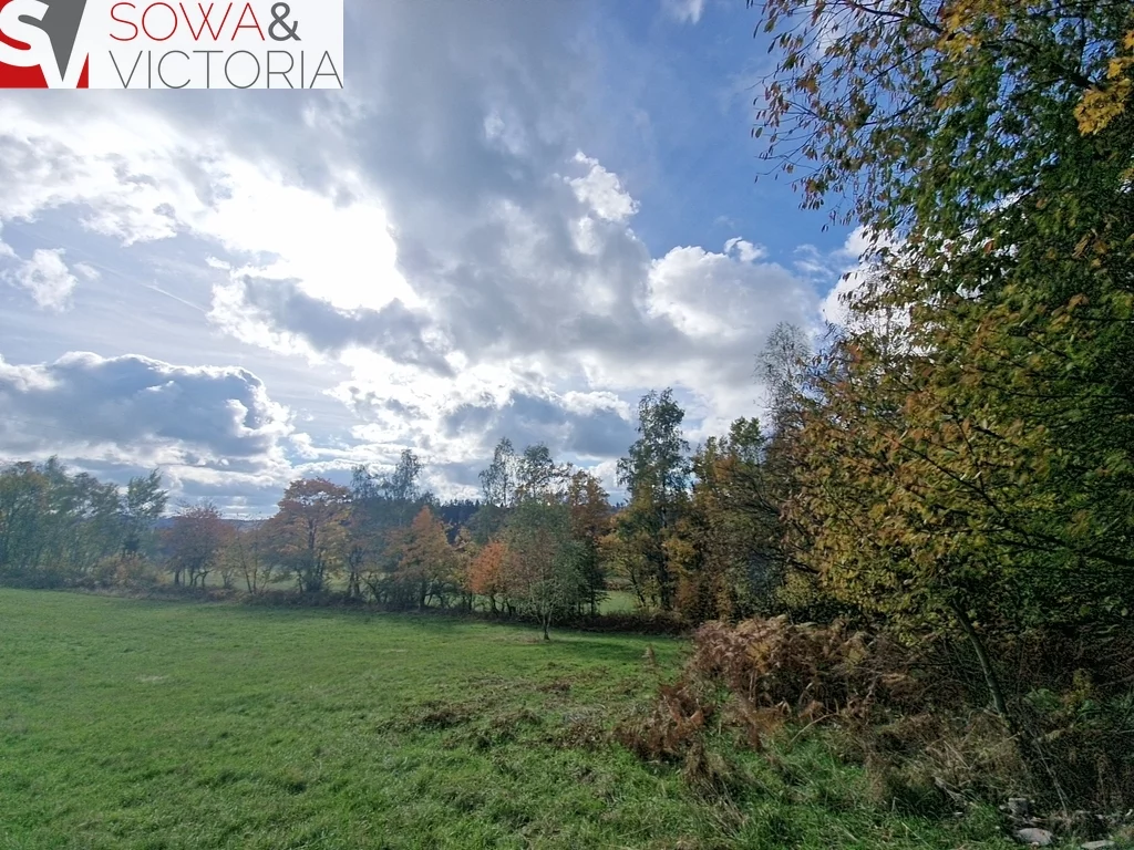 Działka 3 000,00 m², oferta nr , 765/14328/OGS, Sierpnica