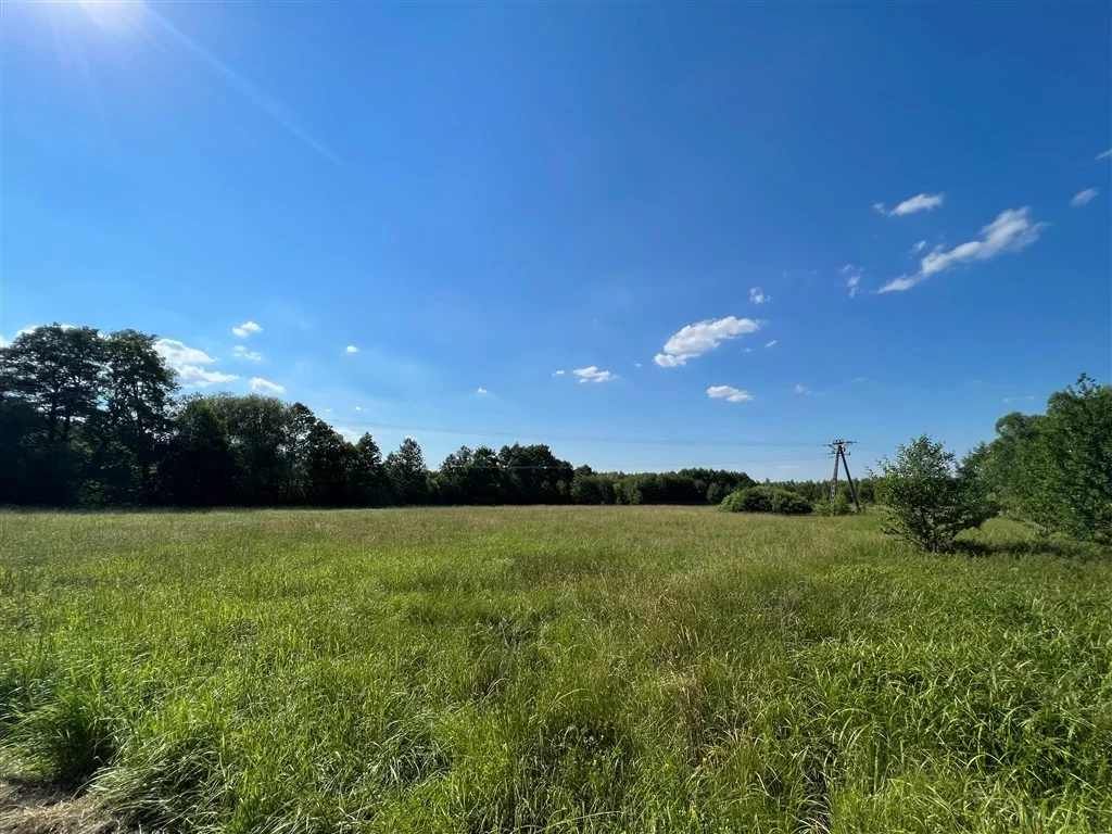 Działka 10 315,00 m², oferta nr , 341/14328/OGS, Sosnówka