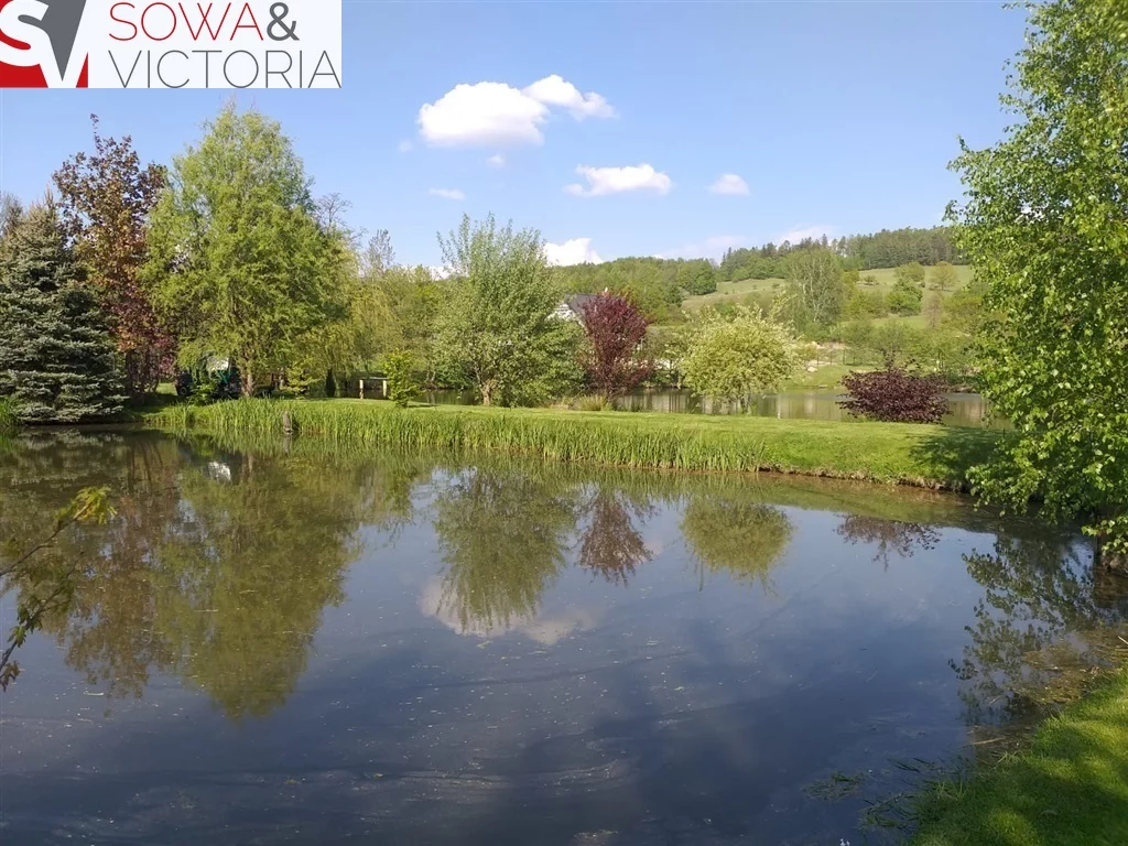 Działka 6 000,00 m², oferta nr , 655/14328/OGS, Sosnówka