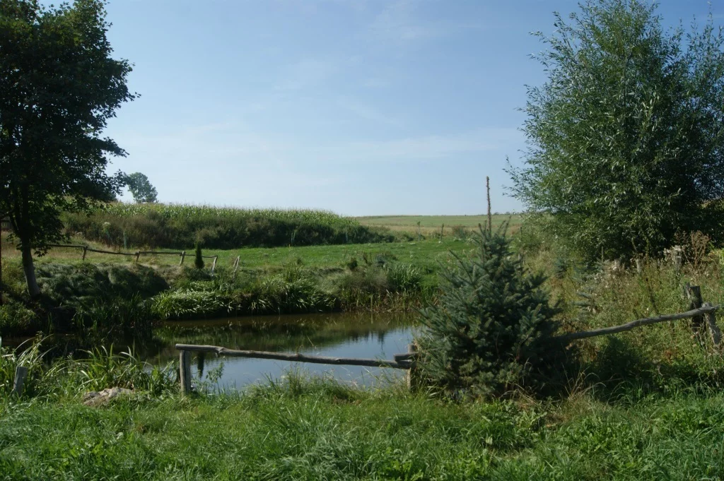 Działka 1 000,00 m², oferta nr , 58/14328/OGS, Stare Bogaczowice