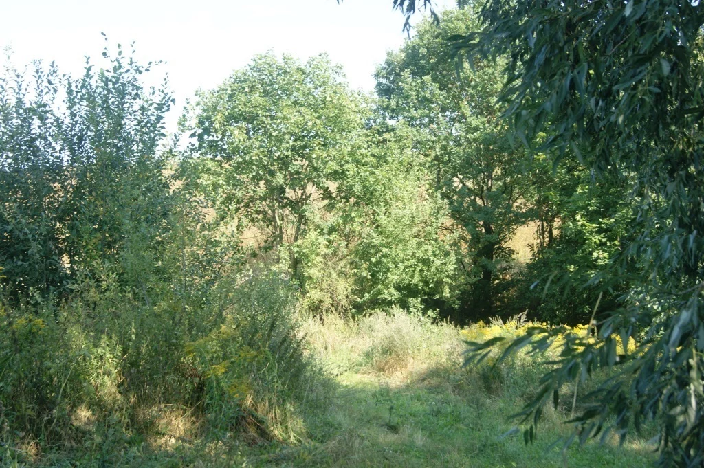 Działka 1 000,00 m², oferta nr , 58/14328/OGS, Stare Bogaczowice