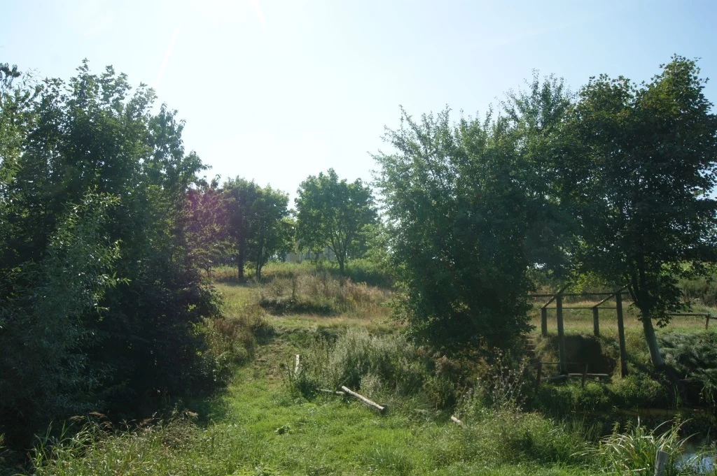 Działka 1 000,00 m², oferta nr , 58/14328/OGS, Stare Bogaczowice