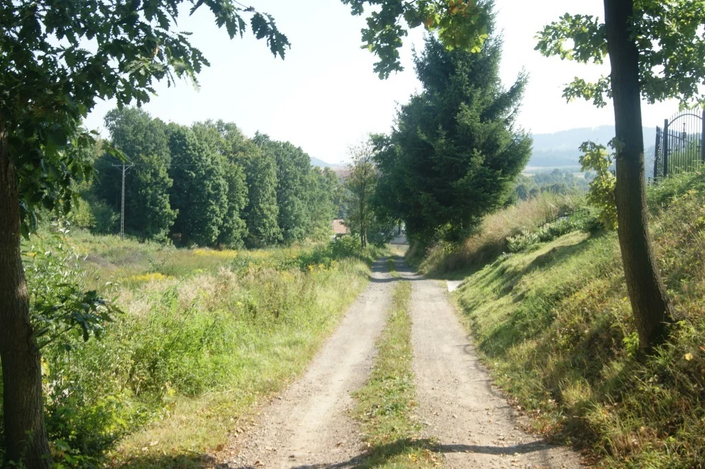 Działka 1 000,00 m², oferta nr , 58/14328/OGS, Stare Bogaczowice